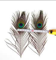 Big Eyes Künstliche Federn Pfauenfeder 25-30 cm (10-12 Zoll) für Party Jäten DIY Kleidung Zubehör Dekoration