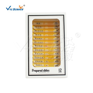 Lames microscopiques en plastique jaune, série végétale, équipement de microscopie pour les écoles primaires et secondaires, diapositives éducatives - Product Image 3