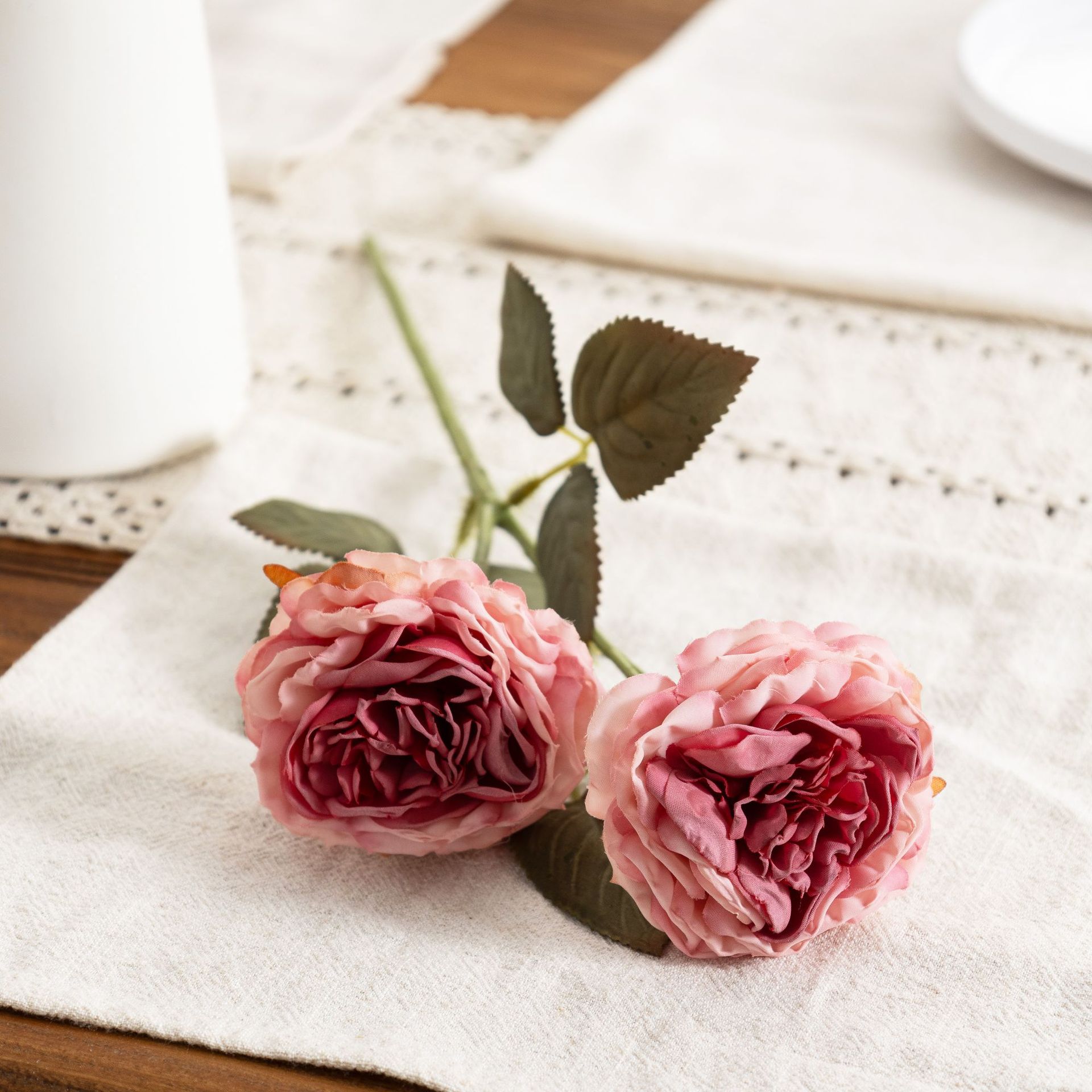 rosa2