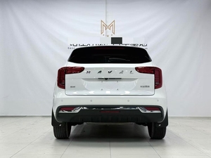 Haval First Love 1.5T SUV Compacto Usado <span class=keywords><strong>2021</strong></span>, Gasolina Turbo, Automático DCT, 5 Plazas, Techo Solar, Vehículo Chino de Segunda Mano - Product Image 6
