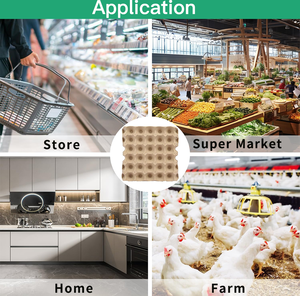Carton à œufs de 30 œufs, support à œufs en gros, personnalisé, biodégradable, 30 cellules, 30 trous, cartons à œufs de poule, 30 paquets de plateaux à œufs pour 30 œufs - Product Image 5