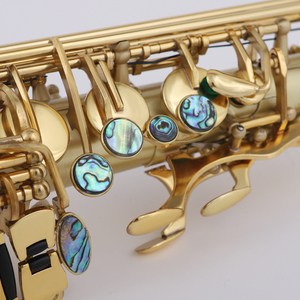 プロの陽極線画完成した管楽器S-40手頃な価格のSax ProfessionalEb Alto Saxophone with Accessories - Product Image 4