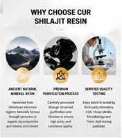 Fournisseur de résine de Shilajit de l'Himalaya en marque privée OEM, résine de Shilajit pure, acide fulvique minéral naturel