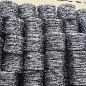 Alambre de Púas Galvanizado de <span class=keywords><strong>Doble</strong></span> Hilo, Alambre de Acero de Alta Resistencia para Cercas, Seguridad de Granjas y Ganadería - Product Image 1