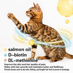 Aliments secs pour chats à faible teneur en grains, divers formes de cheveux de beauté, aliments secs pour chats, viande fraîche, halal directement de l'usine - Product Image 2