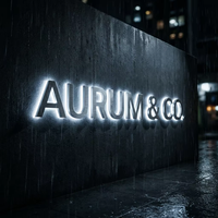 Enseigne lumineuse LED rétroéclairée en acier inoxydable 3D personnalisée pour l'extérieur ou l'intérieur, lettres en relief numériques