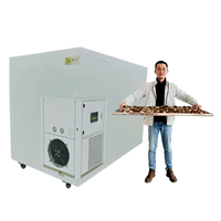 Fruit- en groentedroogmachine, commerciële heteluchtcirculatie droogkamer voor de verwerking van gedroogd fruit en groenten