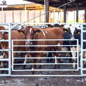 Cercas Ovaladas Estándar Australianas de 1.8m X 2.1m para Ganado, Paneles para Corrales de Ganado - Product Image 2