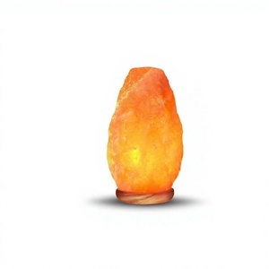 Lampe de sel de l'Himalaya sculptée étanche à succès avec variateur USB, bloc de sel rose naturel pour la décoration intérieure - Product Image 1