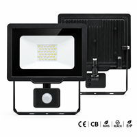 Projecteur d'éclairage de jardin IP65 3000 lumens, projecteur mural, projecteur à faisceau large 10w 20w 30w 50w 100w avec détecteur de mouvement