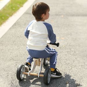 Vélo d'équilibre UDEAS trotteur <span class=keywords><strong>3</strong></span> <span class=keywords><strong>roues</strong></span> pour bébé et enfants pour <span class=keywords><strong>18</strong></span> <span class=keywords><strong>mois</strong></span> à 2 ans - Product Image 6