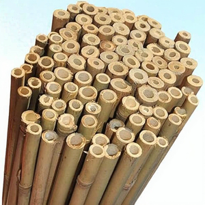 Piquets en bambou robustes, best-sellers, idéaux pour le soutien des tomates et l'entraînement des vignes, texture bois durable pour une agriculture écoresponsable - Product Image 3