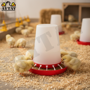 Comedero Automático Certificado para Pollos AYTAV Modelo 302406, Industria Avícola, Origen Turquía, 1 Año de Garantía, Nuevo, Informe de Prueba - Product Image 3