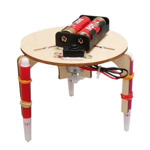 Kit de Experimentos Científicos de Madera para Niños de Primaria, Modelo Educativo STEAM T-M203, Robot de Graffiti DIY OEM - Product Image 1