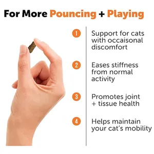 Kediler için Anti inflamatuar eklem desteği, glukozamin, MSM ve kril-kalça ve eklem takviyesi hareketlilik kedi eklem takviyesi