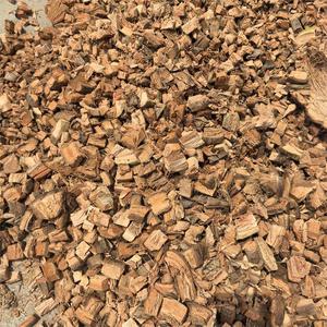 Máy cắt vỏ dừa khô, máy bào vỏ dừa dùng cho trái cây và rau củ - Product Image 5