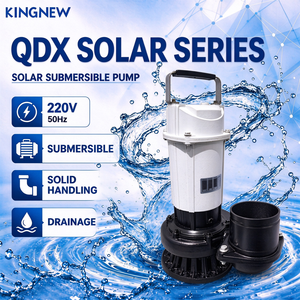 <span class=keywords><strong>Pompe</strong></span> solaire submersible QDX, <span class=keywords><strong>pompe</strong></span> à eau solaire DC <span class=keywords><strong>pour</strong></span> puits domestiques et irrigation agricole - Product Image 1