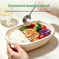 Boîte à emporter ovale jetable en amidon de maïs de 750 ml pour repas légers, bento, pâtes, salade, avec couvercle