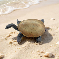 Modèle d'animal marin réaliste en PVC solide, tortue à coquille molle, jouet éducatif pour l'apprentissage de la maternité, assemblage d'aquarium, best-seller transfrontalier