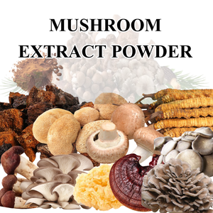 Polvo de Extracto de Hongo, Polisacáridos, Polvo de Extracto de Hongo <span class=keywords><strong>Armillaria</strong></span> <span class=keywords><strong>Mellea</strong></span> - Product Image 2