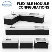 Ensemble de meubles de cuisine extérieure personnalisés en acier inoxydable noir avec évier, robinet, charnières, grilles de barbecue et plaque de cuisson intégrée pour repas