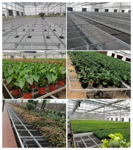 Grands bancs de serre avec système de culture en <span class=keywords><strong>plateau</strong></span> et système de table d'irrigation par flux et reflux en maille d'acier galvanisé à chaud - Product Image 6