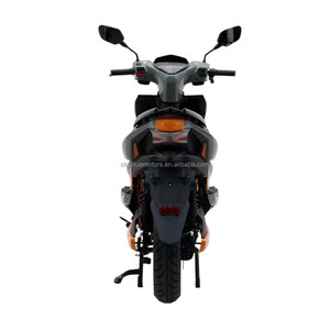 Moto Électrique 3000W Homologuée pour la Route avec Moteur et Certificat CEE, Disponible en Couleur Morel pour le Trajet Quotidien - Product Image 6