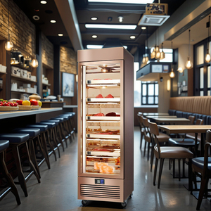 Thiết bị Thịt bò khô ở nhiệt độ đơn cho các nhà hàng và khách sạn ăn uống cao cấp thương mại đơn cửa thịt bò ướt lão hóa mát - Product Image 2