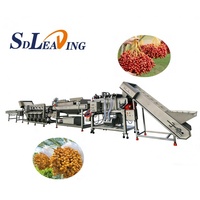 Dadelpoetsmachine Fruitreinigingsapparatuur Borstelwasmachine Dadelpoets- en verwerkingslijn