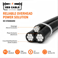 Cable de Aluminio Estándar IEC60502 ABC de 1*16+1*25mm2, Cable de Servicio XLPE de 2 Núcleos Fase-Neutro Sin Iluminación EESCABLE
