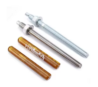 Ancre chimique en acier inoxydable galvanisé 304 de haute qualité avec capsule en résine Gra.4.8 5.8 8.8 M8-M24 pour béton
