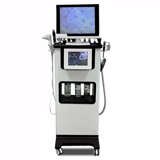 11 in 1 Hydro Facial Machine for Skin Rejuvenation Standing Beauty Device US/AU/CN/EU Plugs for Face Cleansing Lifting Firming