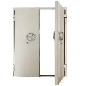 Puertas delanteras de acero exteriores de seguridad de puerta de diseño popular para puerta principal