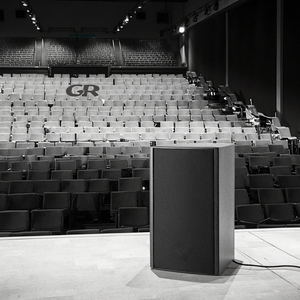 6.5 inch 2-cách thụ động hội nghị loa <span class=keywords><strong>nl4</strong></span> kết nối bằng gỗ PA Loa - Product Image 3