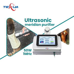 Oem ultrawave điều trị đau vật lý trị liệu thiết bị kim loại xây dựng 1 năm bảo hành động vật phục hồi chức năng quản lý đau CE - Product Image 6