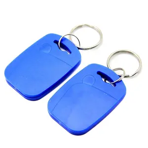 ABS Plastic Keyfob Gym Spa Hotel Key Chain ABS Keychain Access Control LF HF 125khz/13.56mhz RFID Key Fob Key Tag