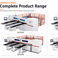 Vente flash : Scie à panneaux entièrement automatique 3300 mm pour la production de panneaux en MDF et contreplaqué