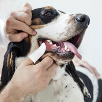 Gants de nettoyage buccal jetables pour animaux de compagnie, adaptés aux animaux de toutes tailles et types, nettoyez la bouche rapidement et maintenez l'hygiène buccale