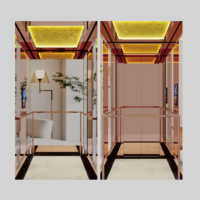 Ascenseur panoramique pour villas, ascenseur à traction en acier inoxydable, disponible en différentes couleurs et styles, capacité de 400 à 800 kg, ascenseur domestique