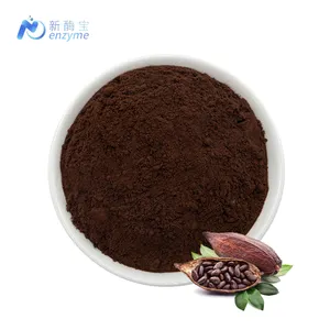 Wholesale Price Bulk 25kg Alkalized Cocoa Powder Raw Cacao Powder For Sale