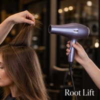 Sèche-cheveux électrique professionnel à moteur AC 3000W en plastique pour usage domestique et hôtelier