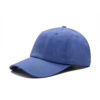 Services OEM ODM Casquette de baseball personnalisable 100% Coton 6 panneaux vierge non structurée souple lavable à visière incurvée pour les marques mondiales professionnelles