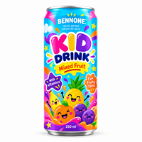 Kinderdrank Sparkling Fruit Juice, laag in suiker, natuurlijk fruitsap, kinderdrank, OEM Private Label voor kinderen