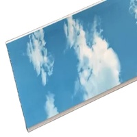 Panel de Pared con Diseño de Cielo Azul y Nubes, 250 mm de Ancho, Laminado, con Ranura y Lengüeta, Techo de PVC