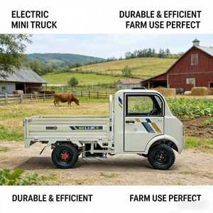 Chinese Made <strong>Electric</strong> Agricultural Pickup <strong>Trucks</strong> and Affordable <strong>Electric</strong> Vehicles Can Be Used for Urban Freight Transportation - Product Image 5