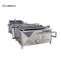 Automatische Blancheerapparatuur Fruit Groentechips Groene Bonen Mango-Tomatenblancheermachine