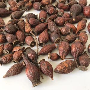 Fructus Rosae Laevigatae (Jin Ying Zi) Essiccato <span class=keywords><strong>Naturale</strong></span> Senza Zolfo, Materia Prima per Zuppe Erboristiche TCM, Fornitura all'Ingrosso, Confezione da 1kg - Product Image 5