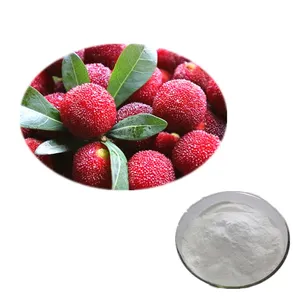 Factory Supply Organic Certificated 95% red bayberry extract waxberry extract powder for skin care