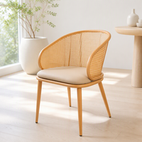 Fauteuil TB22 en rotin tressé style nordique rustique, avec pieds en métal, rembourré et durable, idéal pour la maison, le bureau ou le bar – Prix direct de gros