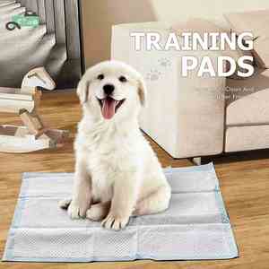 Almohadillas OEM desechables para limpieza de orina de perro con adhesivo, para entrenamiento de cachorros y mascotas, con cinta adhesiva, 6 capas, venta al por mayor de fábrica - Product Image 3